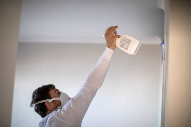 Reliable North Plainfield, NJ Mold Removal Solutions